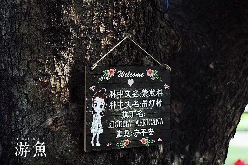 世界杯啦啦队员