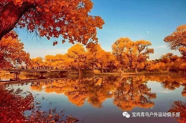 众神之宝
