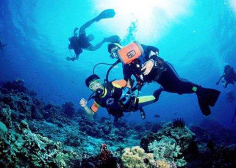 海盗的寻宝之旅