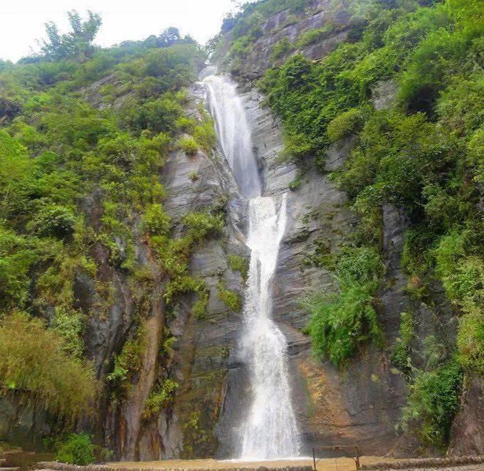 除虫大师